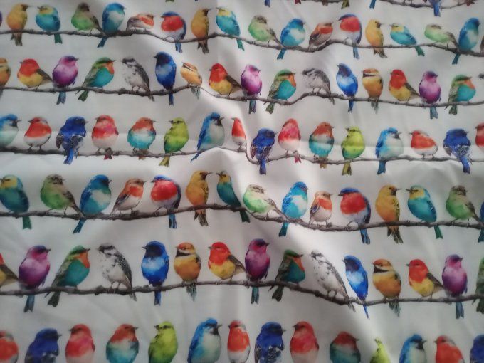 Coupon de tissu imprimé polyester souple et doux motifs oiseaux multicolores animaux top qualité